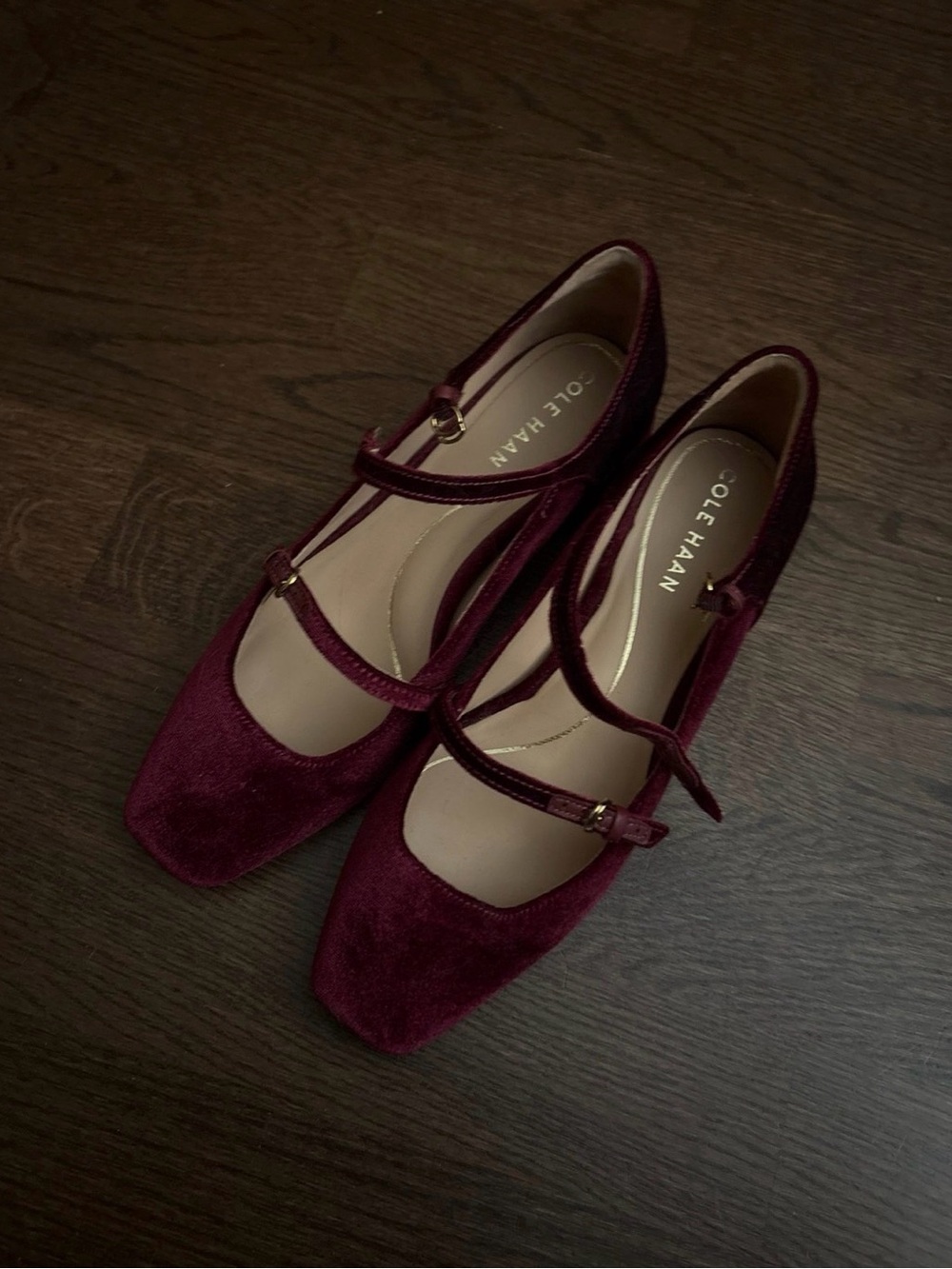 Cole Haan Burgundy Velvet Double-Strap Mary Jane Flats
